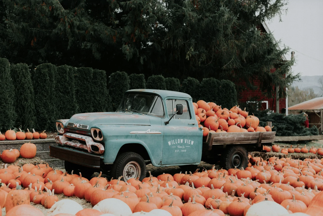 Milton’s Pumpkin Patches and Corn Mazes: Your 2026 Guide