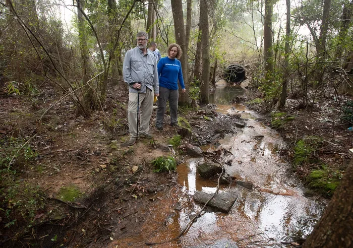 Pensacola Residents Invited to Help Shape Carpenter Creek’s Future