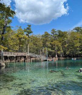 springs near pensacola