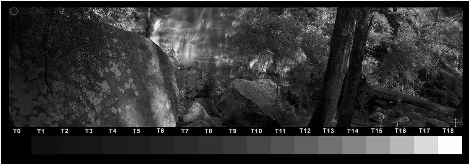 Test Strip with image and stepwedge