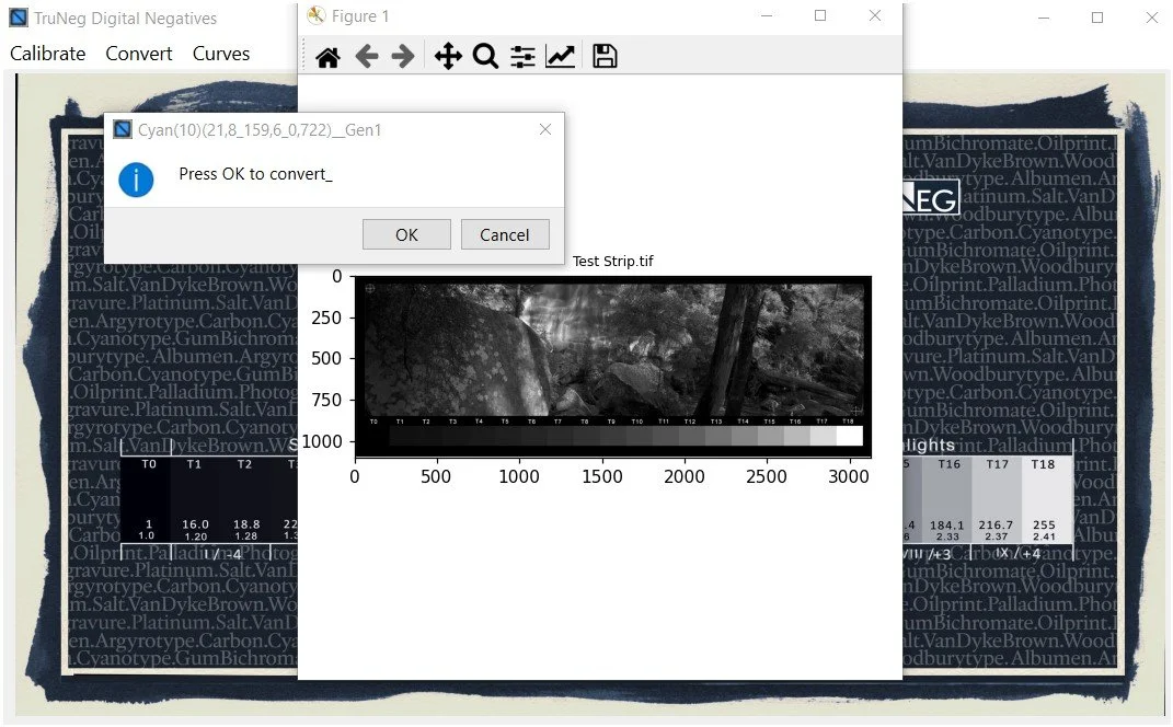 Truneg App with image about to be converted by a Preset