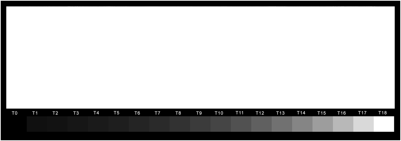 Test Strip Template with 17 step digital stepwedge.