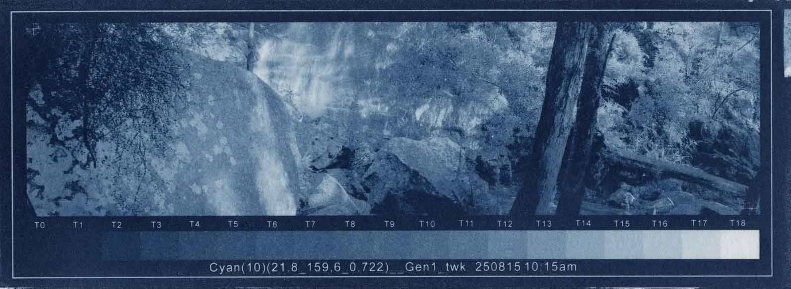 Cyanotype with highlights and shadows that are too light.