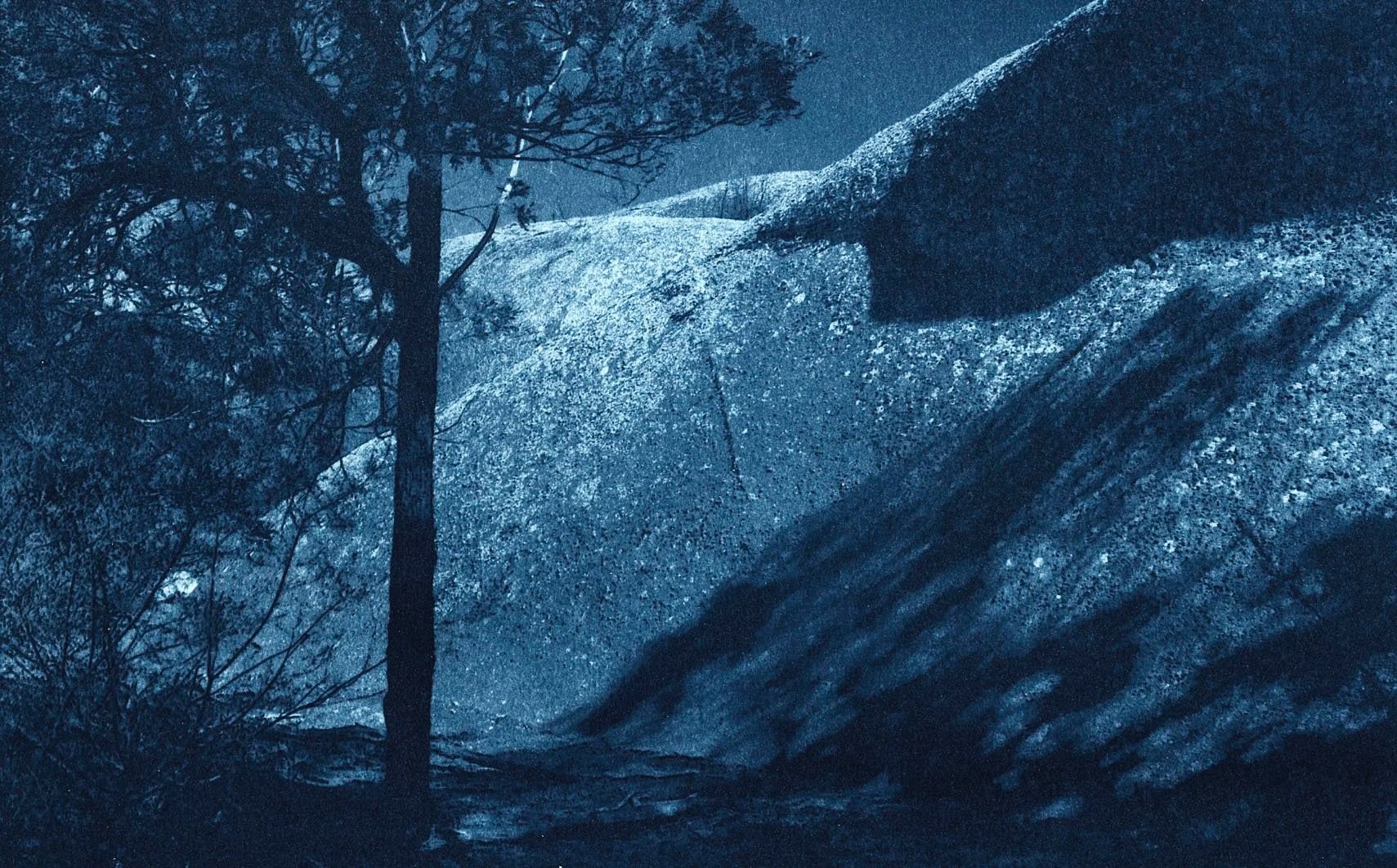 24.5x16cm Classic Cyanotype