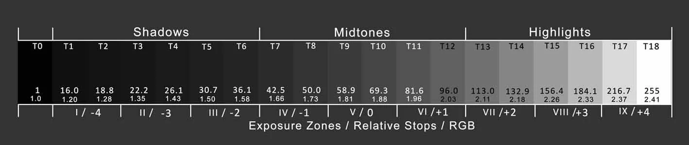 Stepwedge showing how the tones of a photographic image are digitally recorded