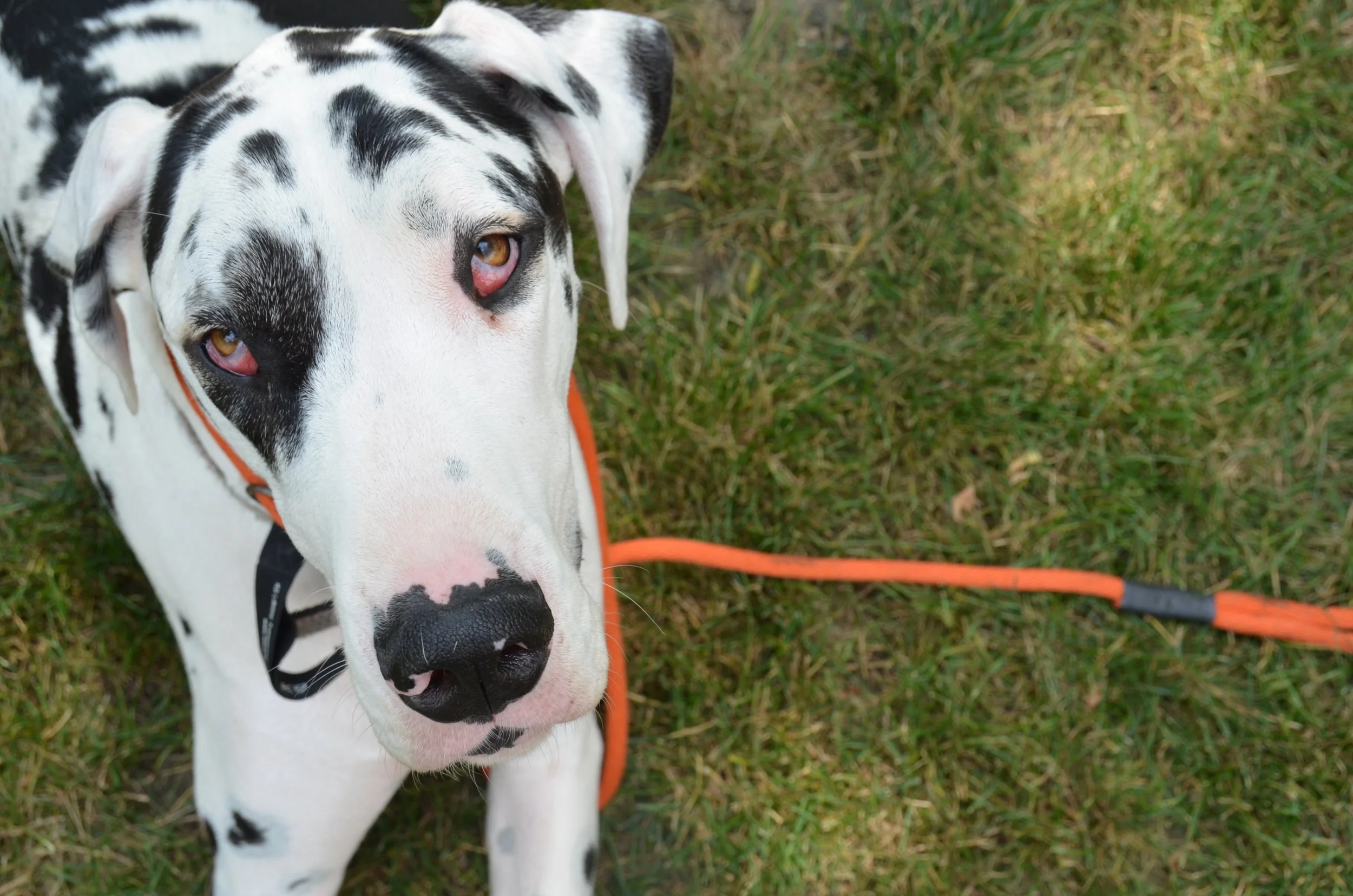 Charlotte 18 copy.jpg