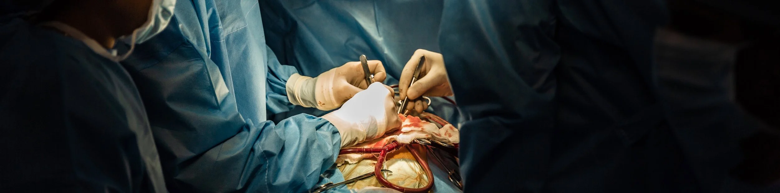 Surgeon and Assistant performing open heart surgery with cardiopulmonary bypass