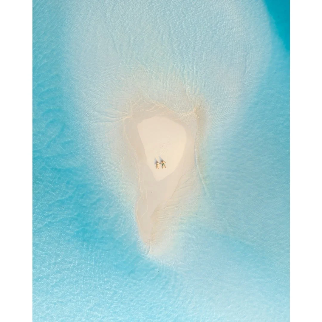 Untitled design (15).jpg