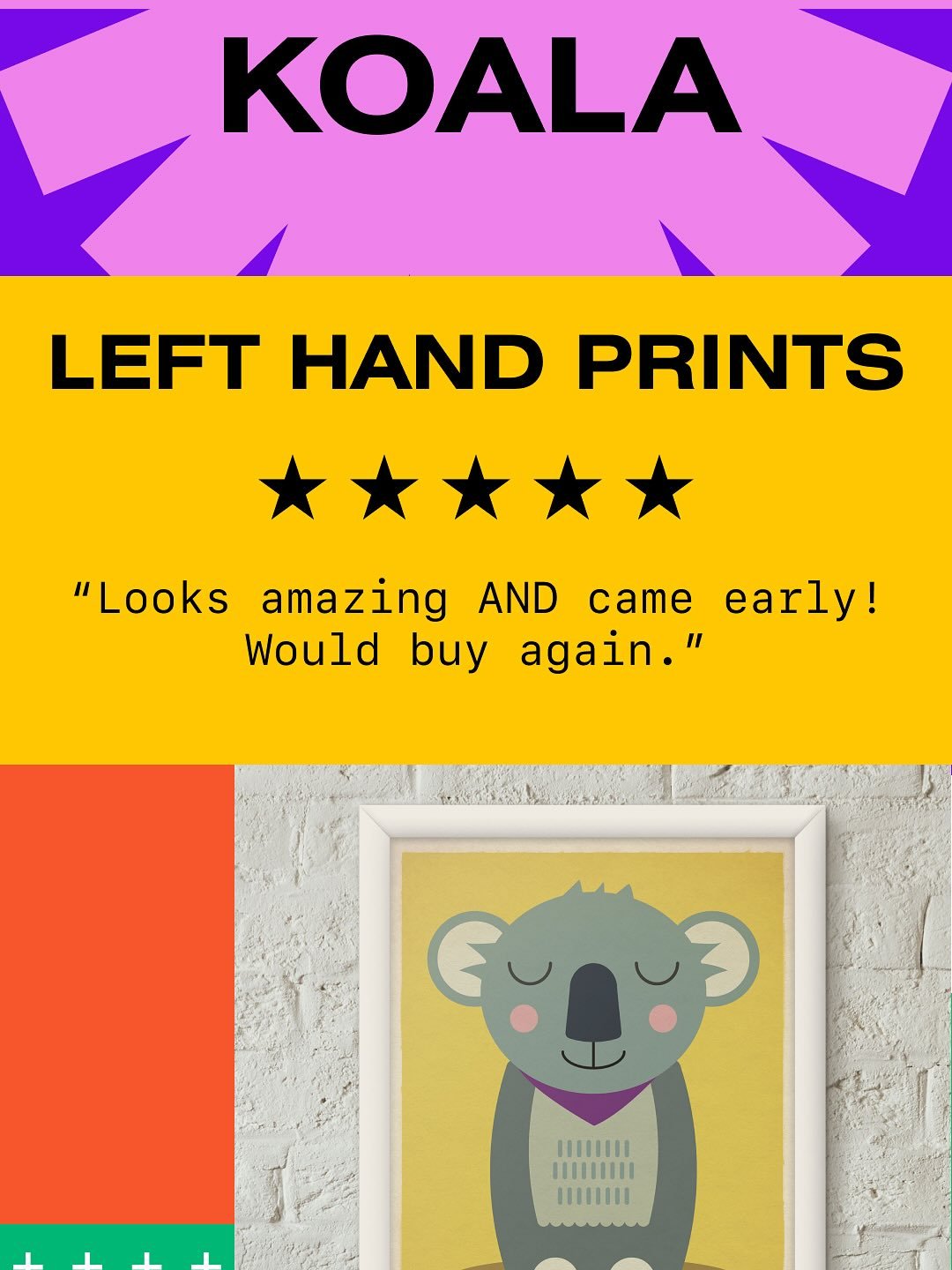 Meet another member of the family!