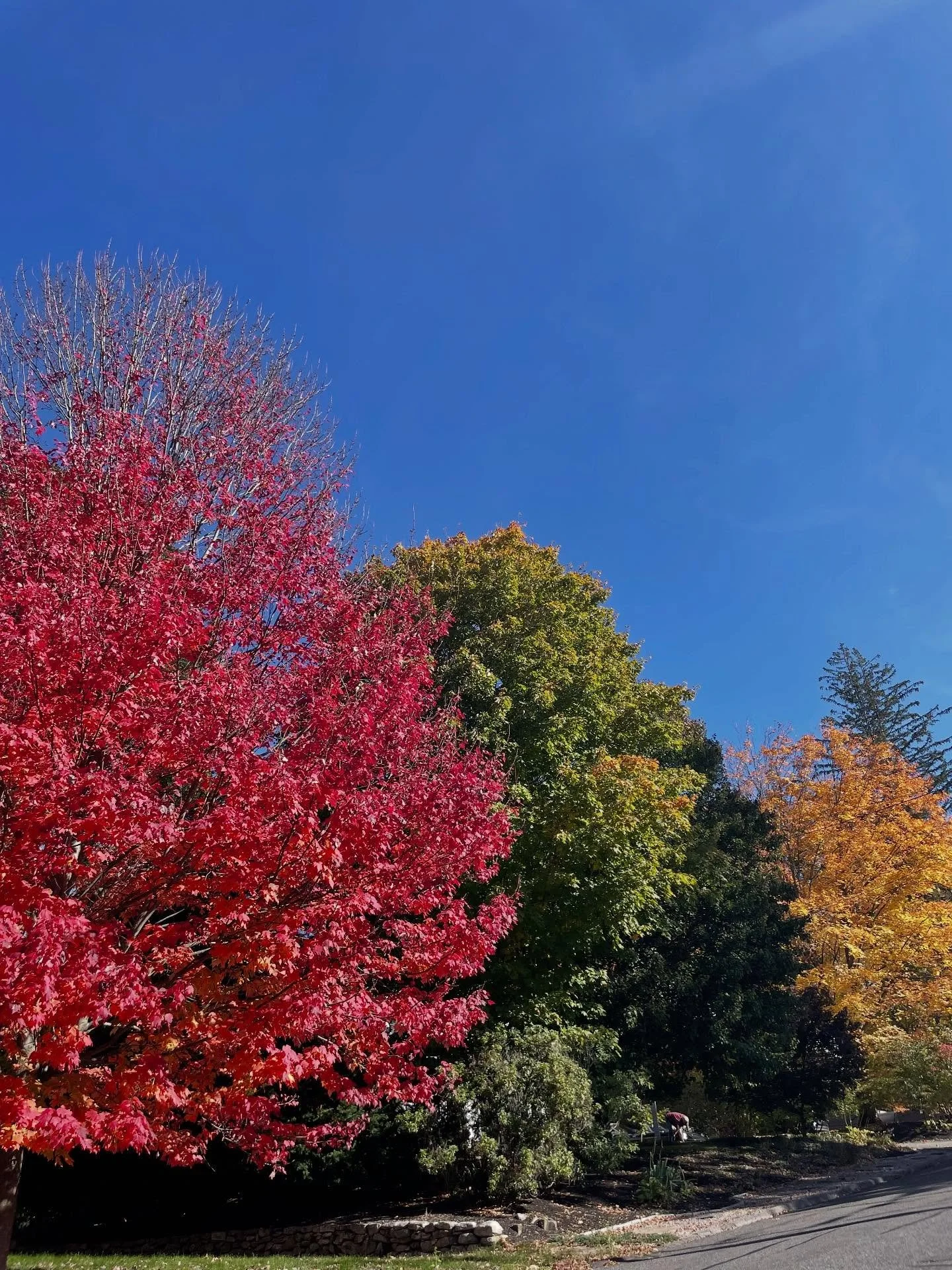 a sweet and lovely day &mdash; 🍁
