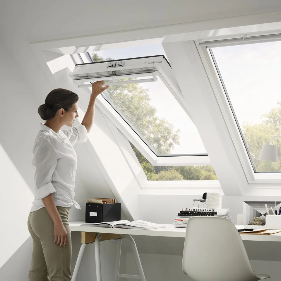 Roof Windows