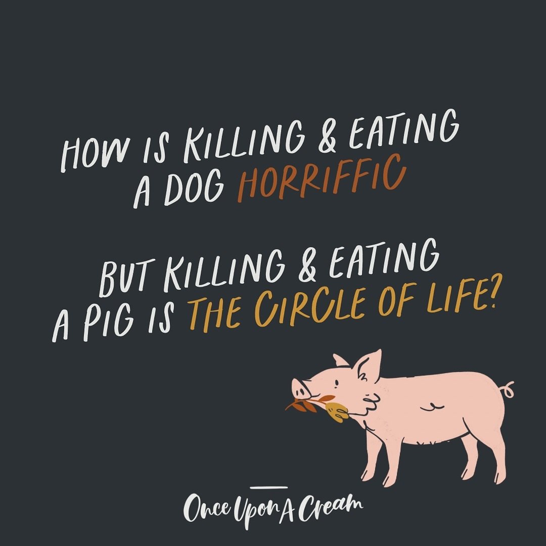 Es ist alles nur Kopf- bzw. Herzsache. 💛 

Wenn du keine Hunde isst, kannst du auch keine Schweine essen. 🐷 💛

Wer hat schon mal einen Hund gestreichelt?

Wer hat schon mal einen Hund gegessen?

Wer hat schon mal ein Schwein gestreichelt?

Wer hat