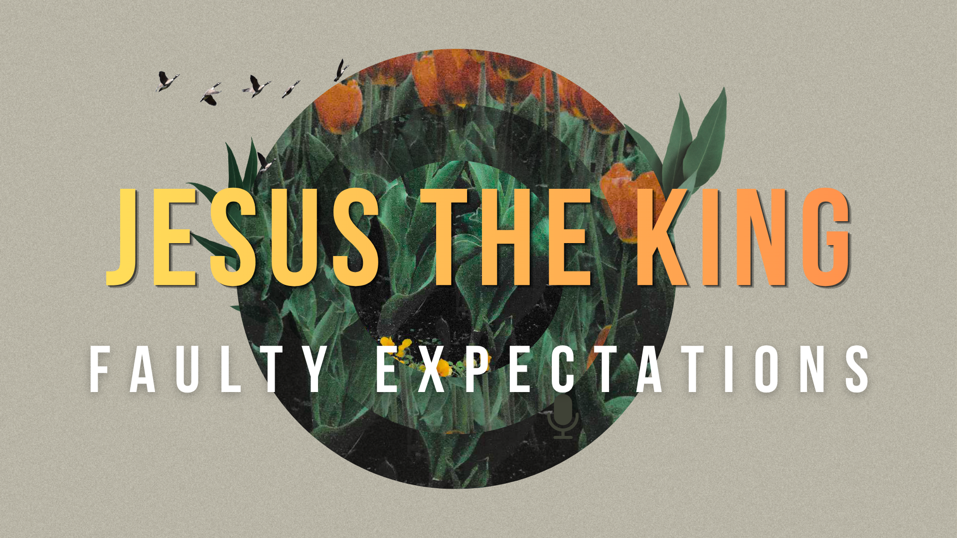 Jesus The King - Faulty Expectations
