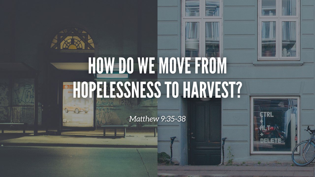How Do We Move From Hopelessness to Harvest?