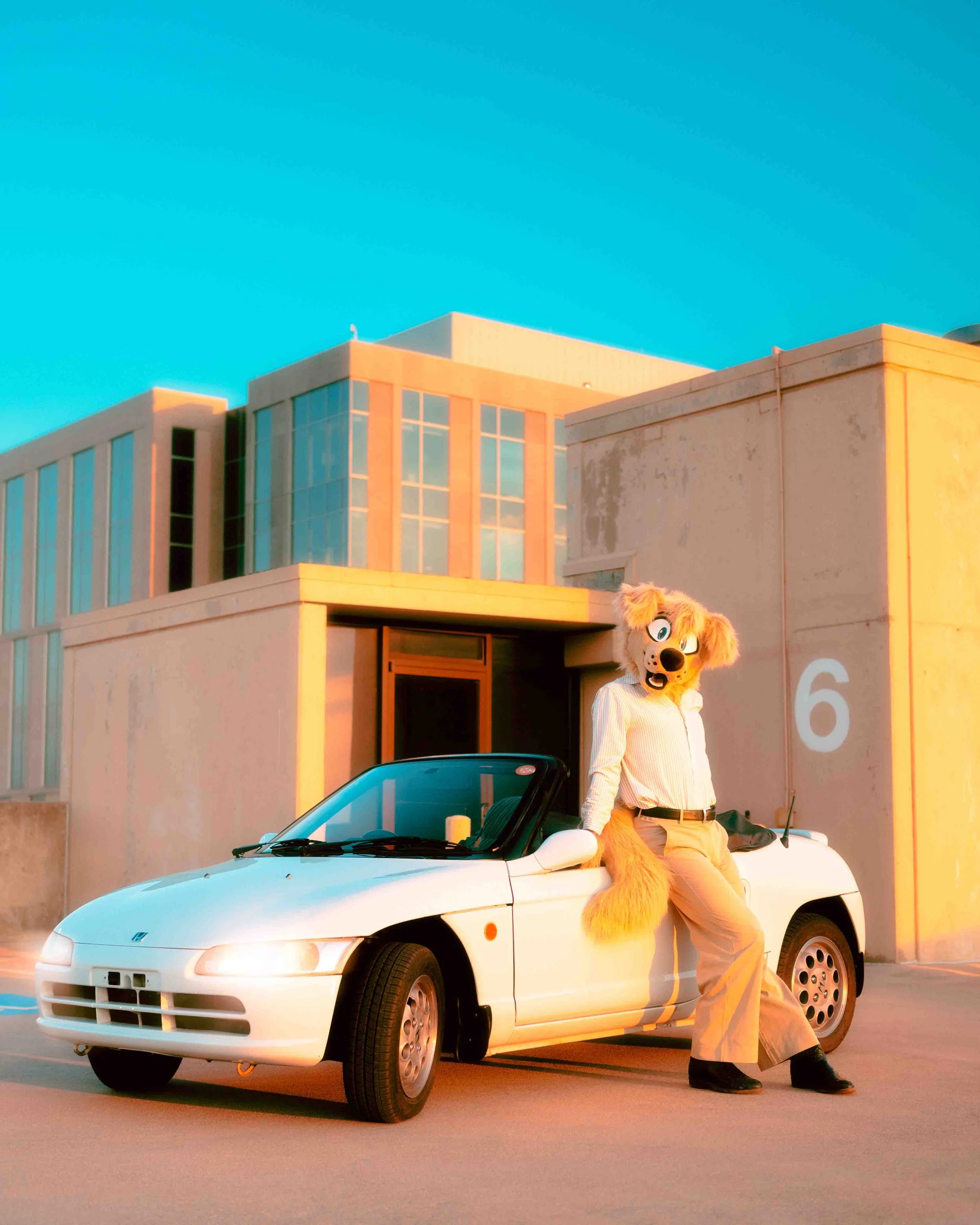 SunsetBeat_1.jpg