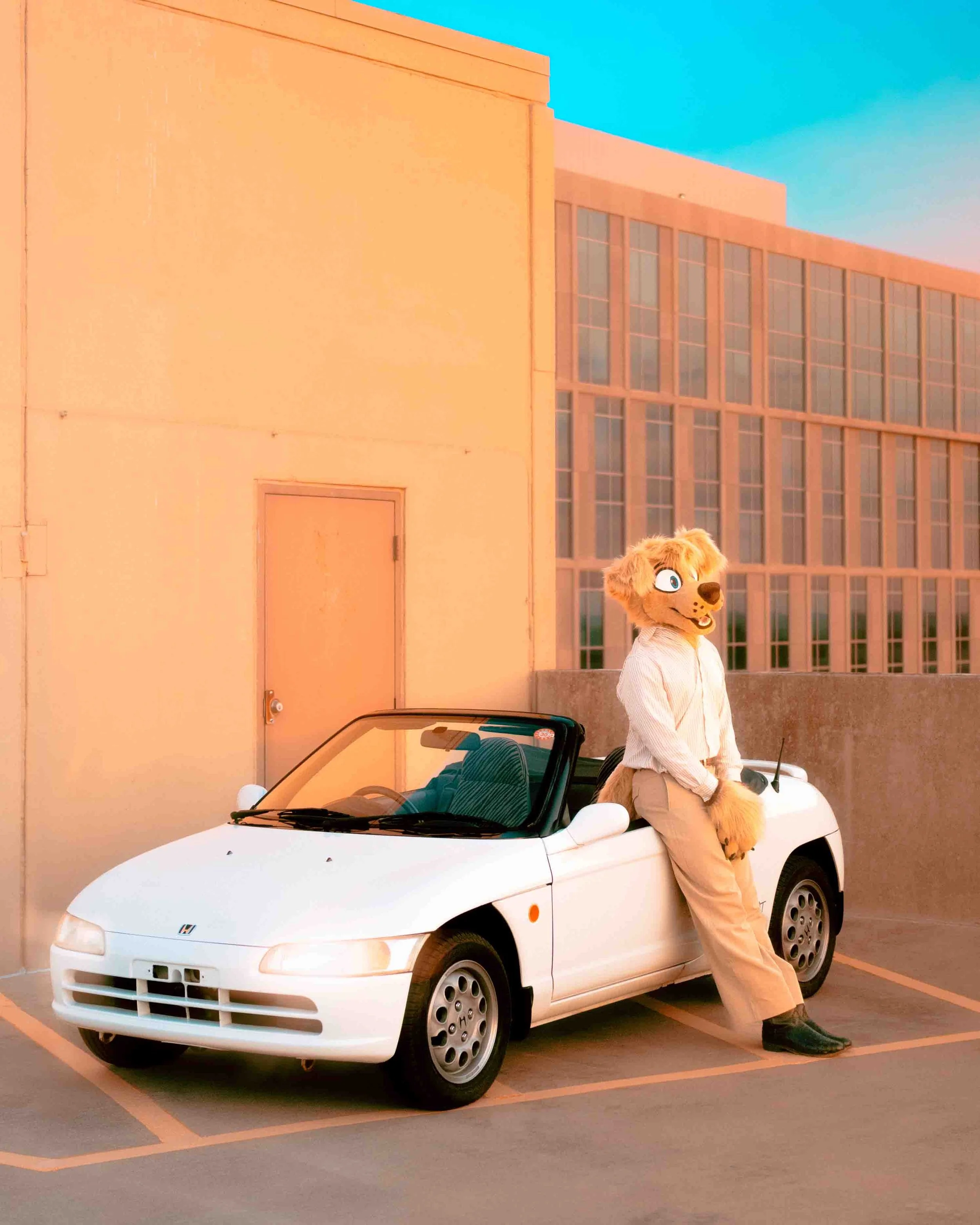SunsetBeat_3.jpg