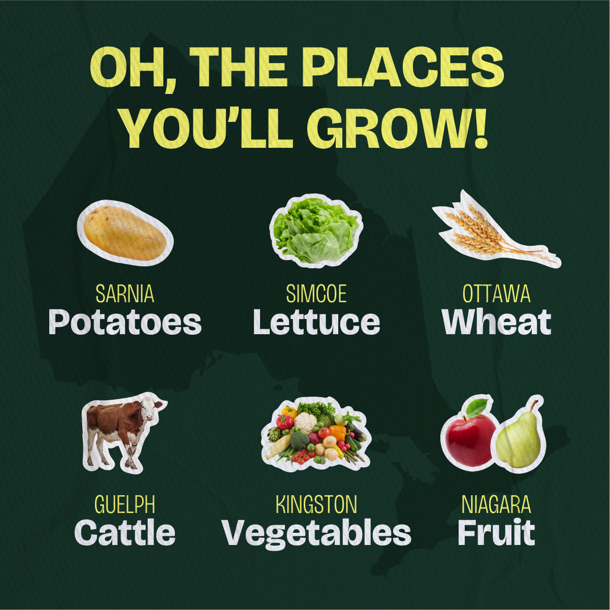 HG_Social Graphic-2.png