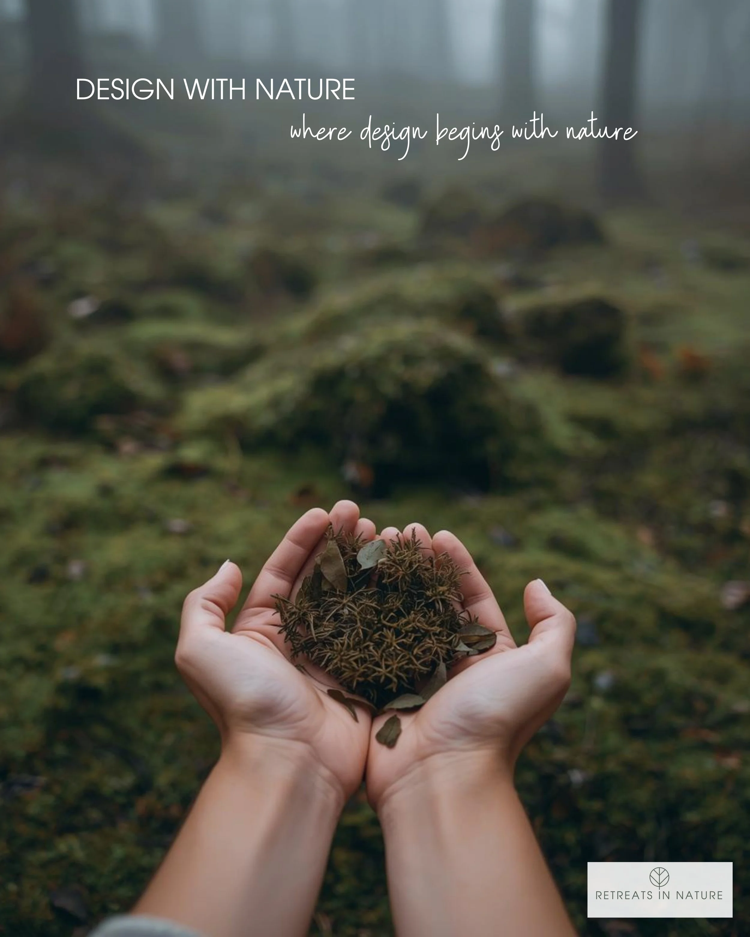 Design With Nature One-Day Retreat - Autumn