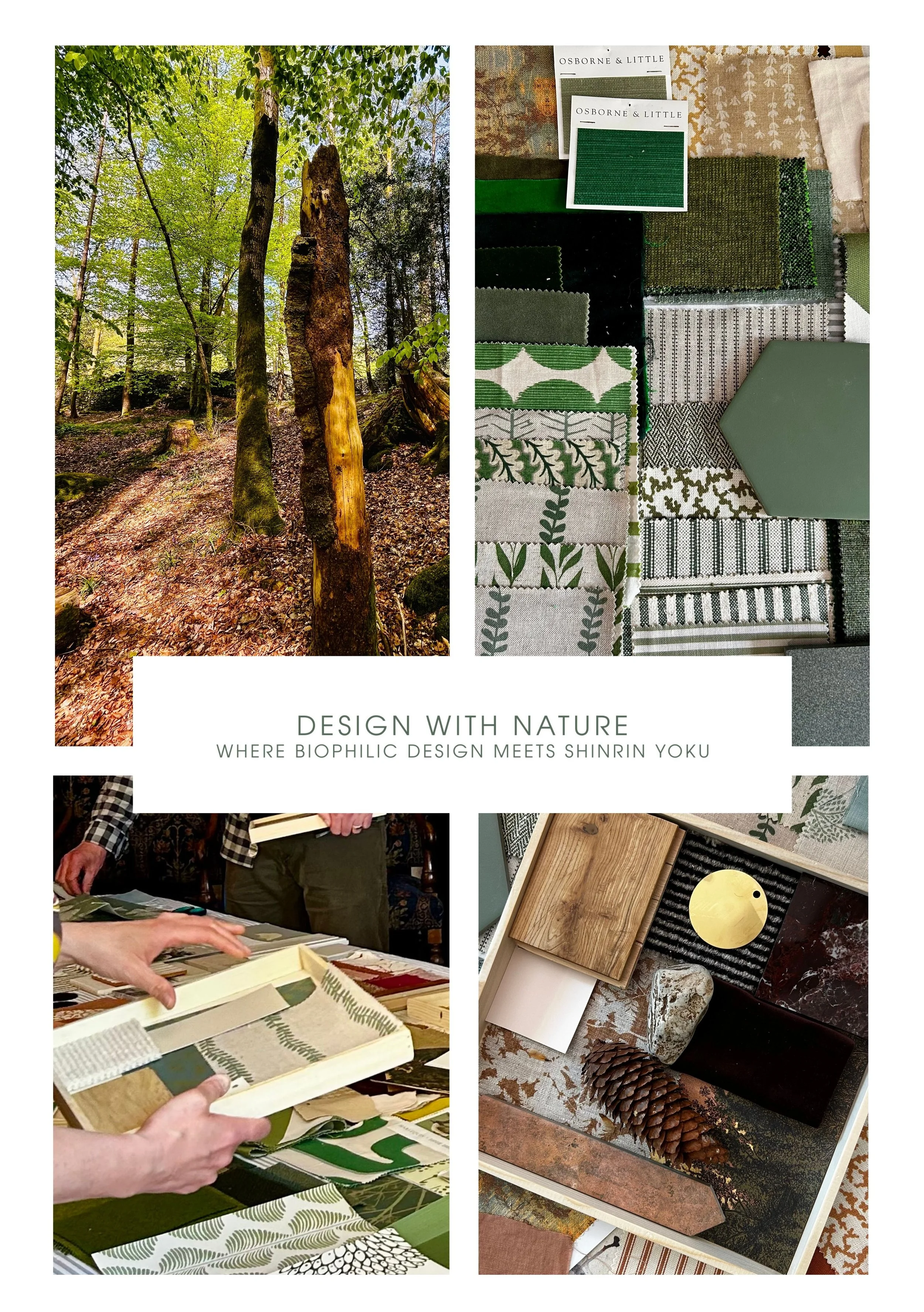 Design With Nature One-Day Retreat - Summer