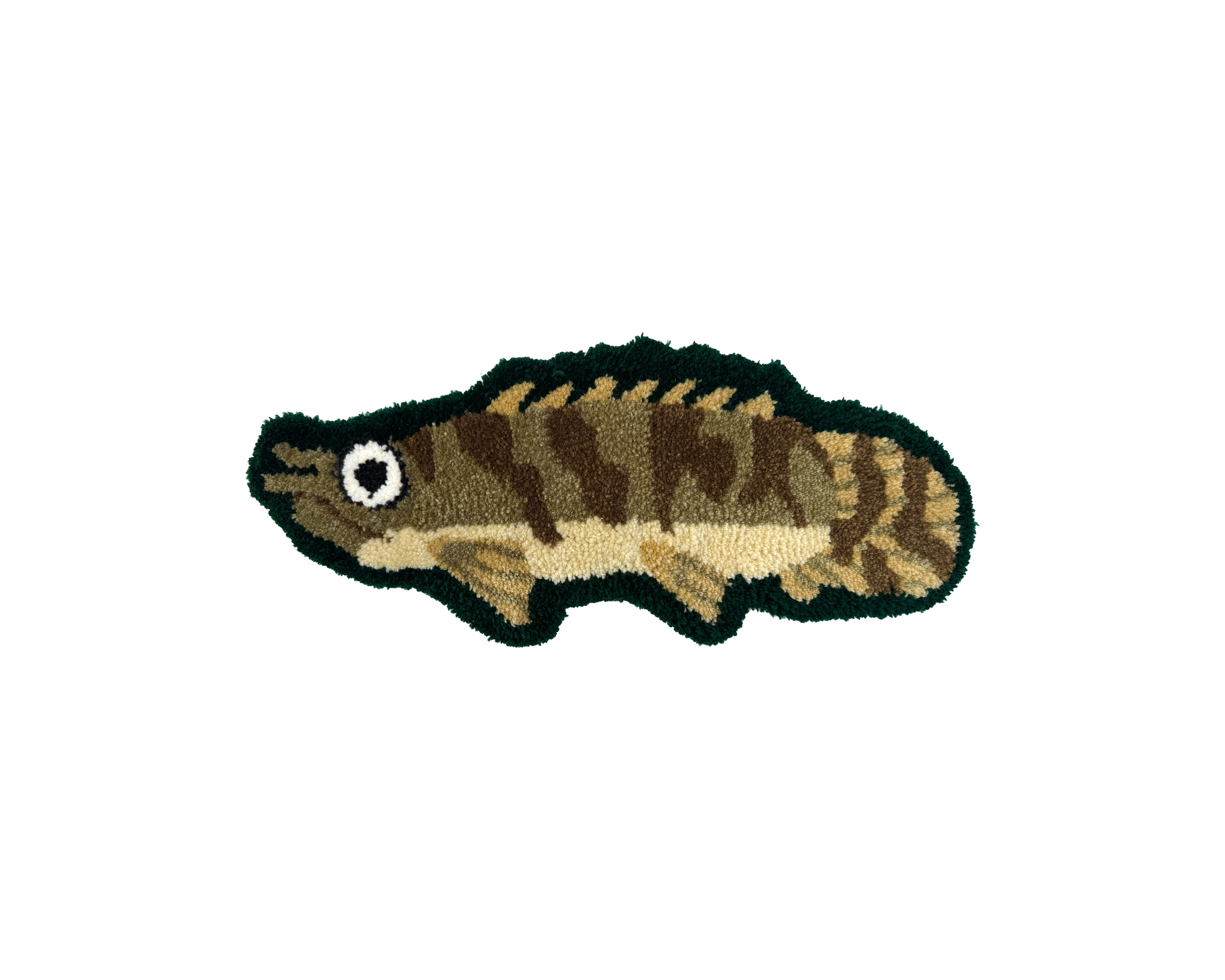 Saddled bichir