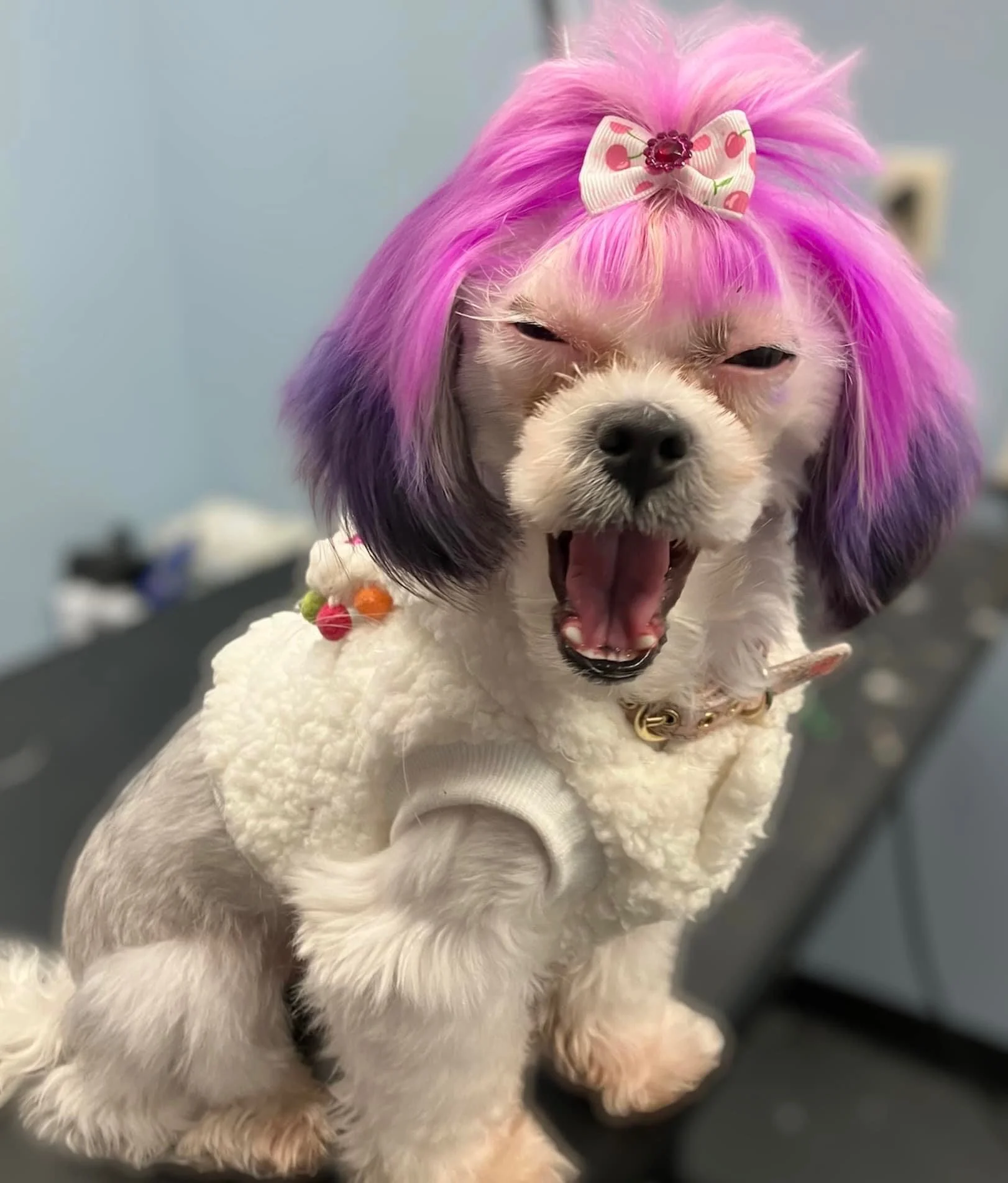 image_6483441 copy 2.JPG