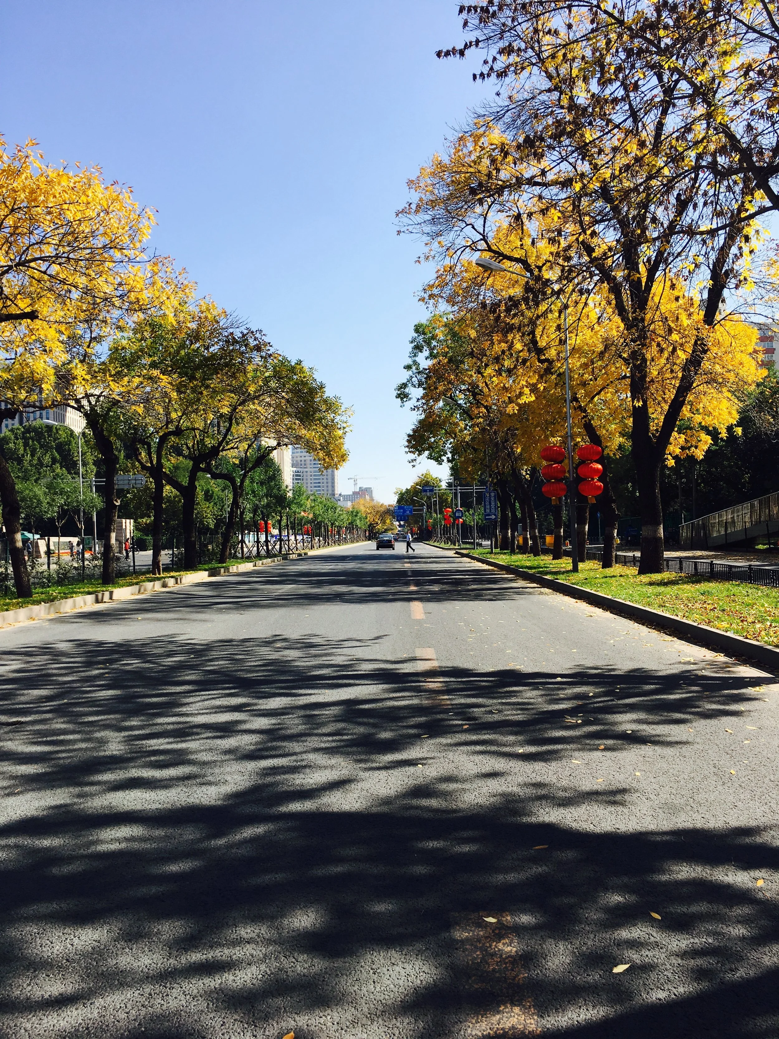 Nothing like crab in the Fall