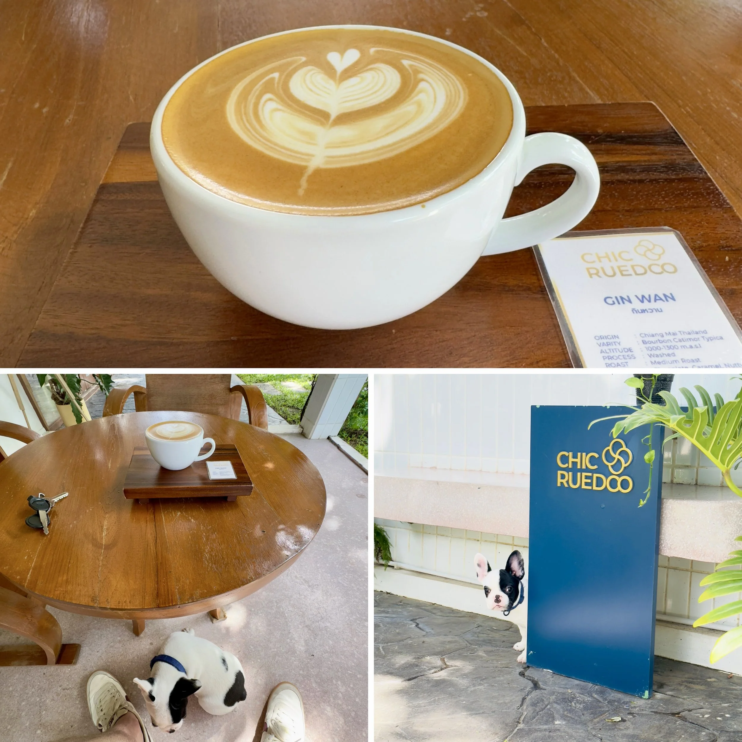 Toby’s First Outing