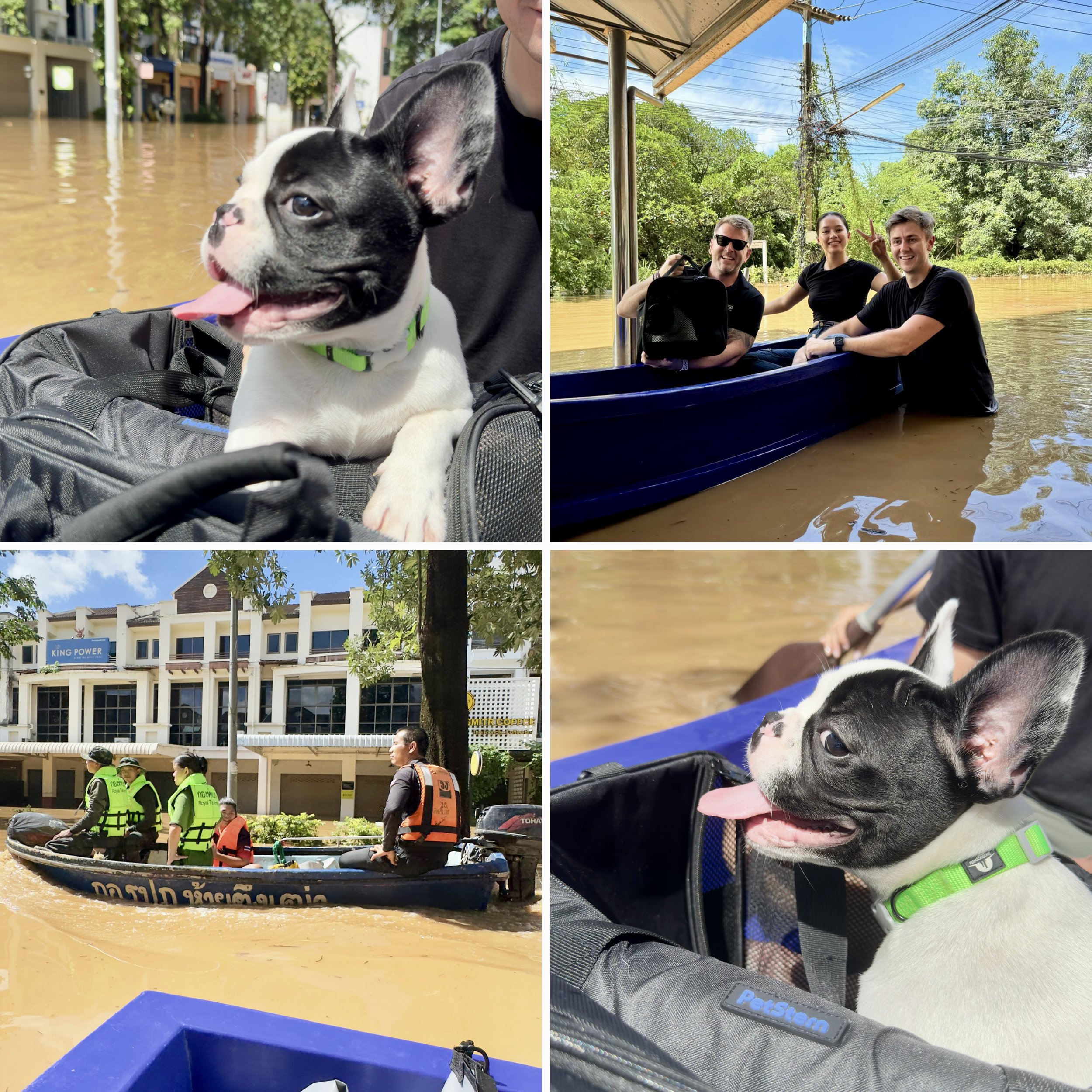 Escaping the Chiang Mai Floods: A Hectic Journey by Boat with Toby