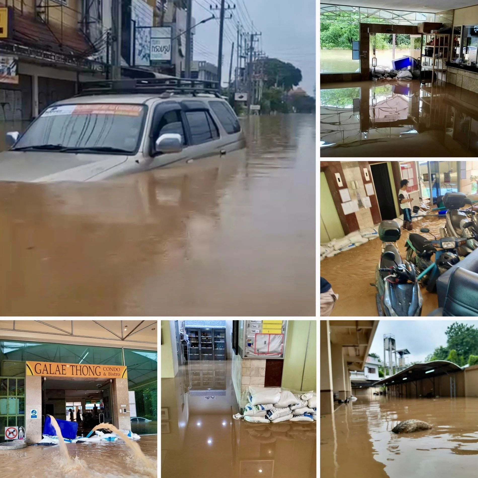 Chiang Mai’s Record-Breaking Floods: A Community Underwater