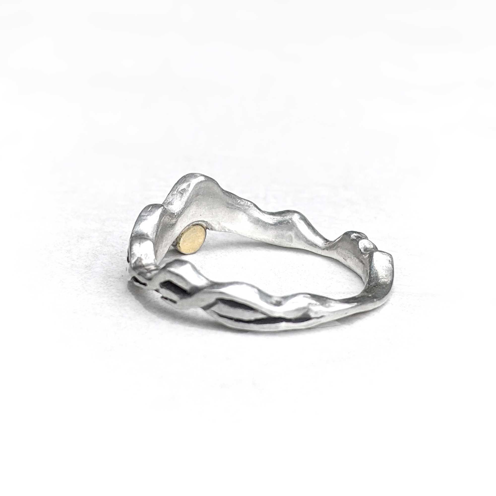 Ebb_Flow_ring_5_.jpg