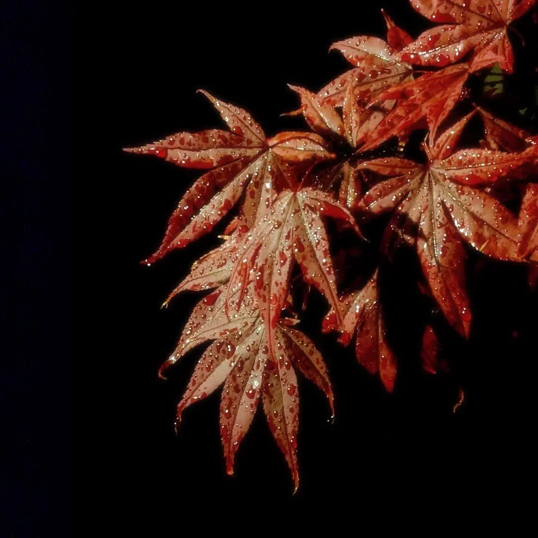 🔥Super busy prepping for both @eddingtonarts &amp; @rockwoodsilver this week (whilst dealing with some annoying post viral fatigue 🫤).

📷 Lots of lovely new pieces in the pipeline for Eddington just need some good photos of them! . . .

📍 See @ed