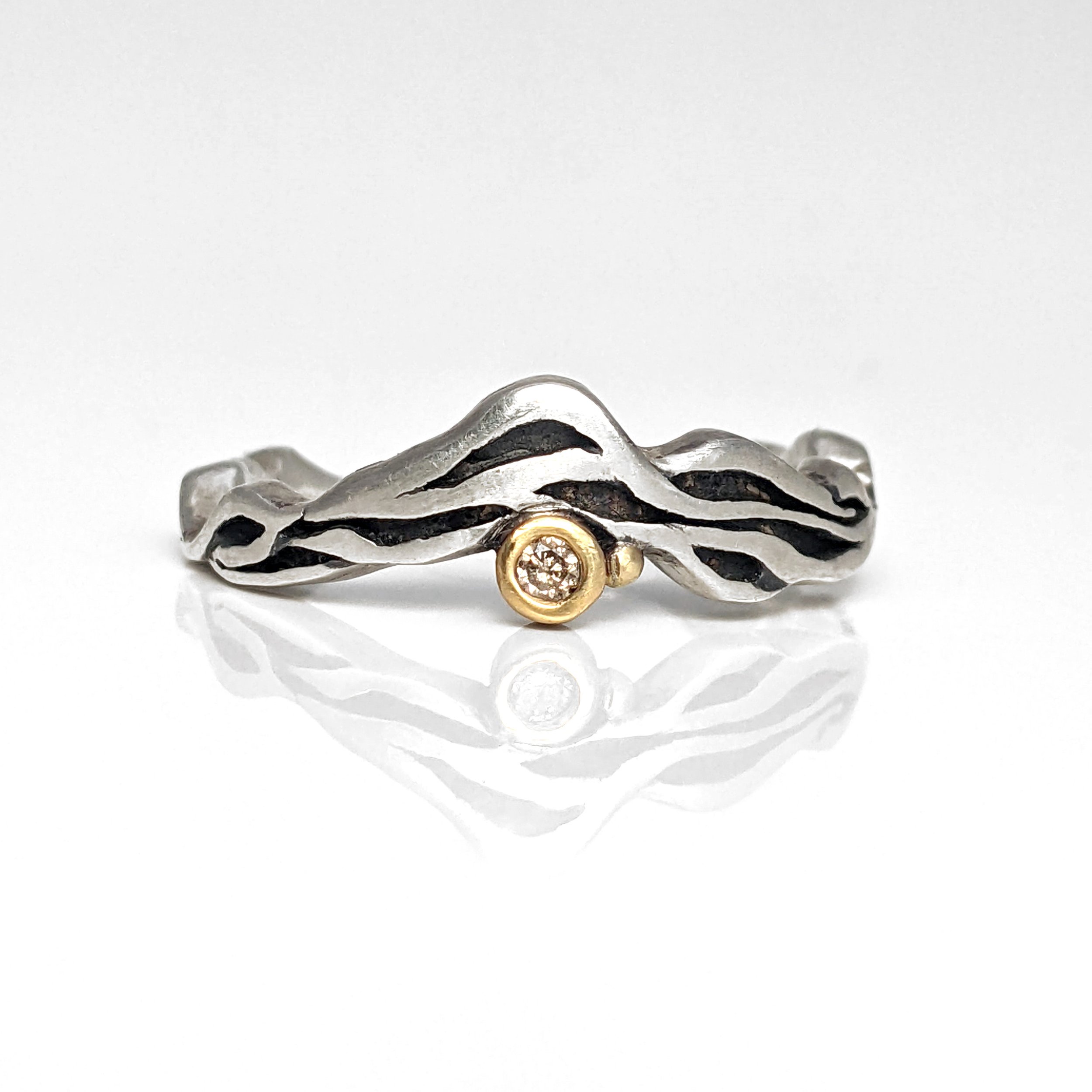 Ebb_Flow_ring2.jpg