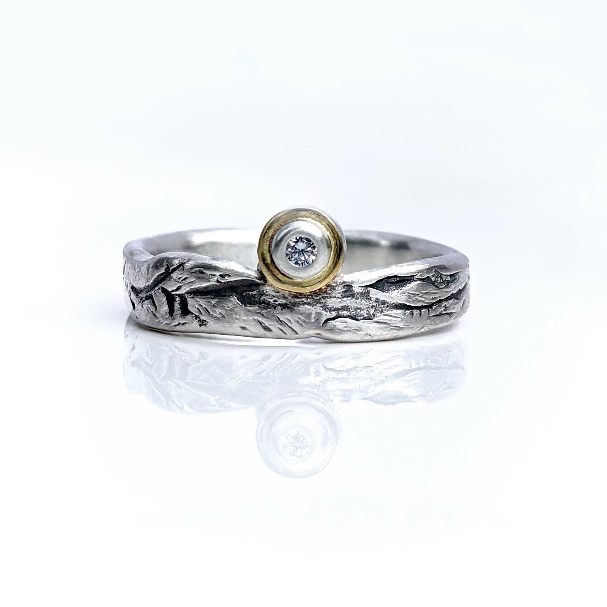Endurance_Ring_1_.jpg