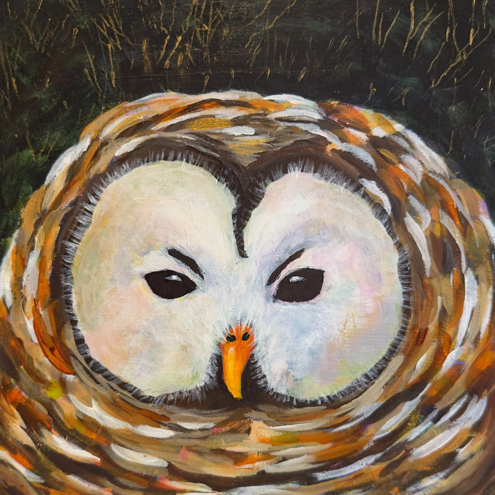 owl.jpg