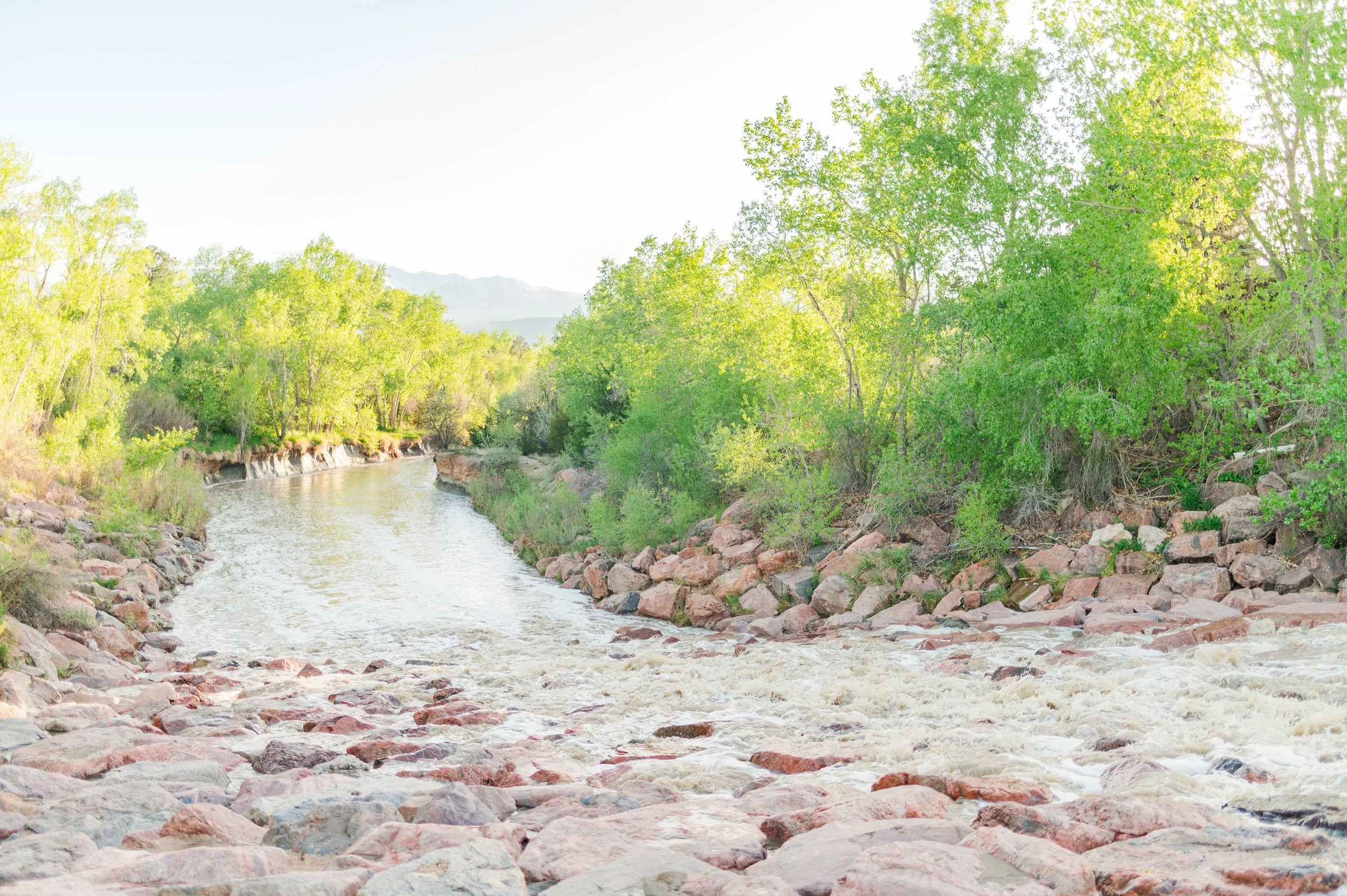 A river flowing through a lush green forest with rocks along the banks and a mountain range in the background.