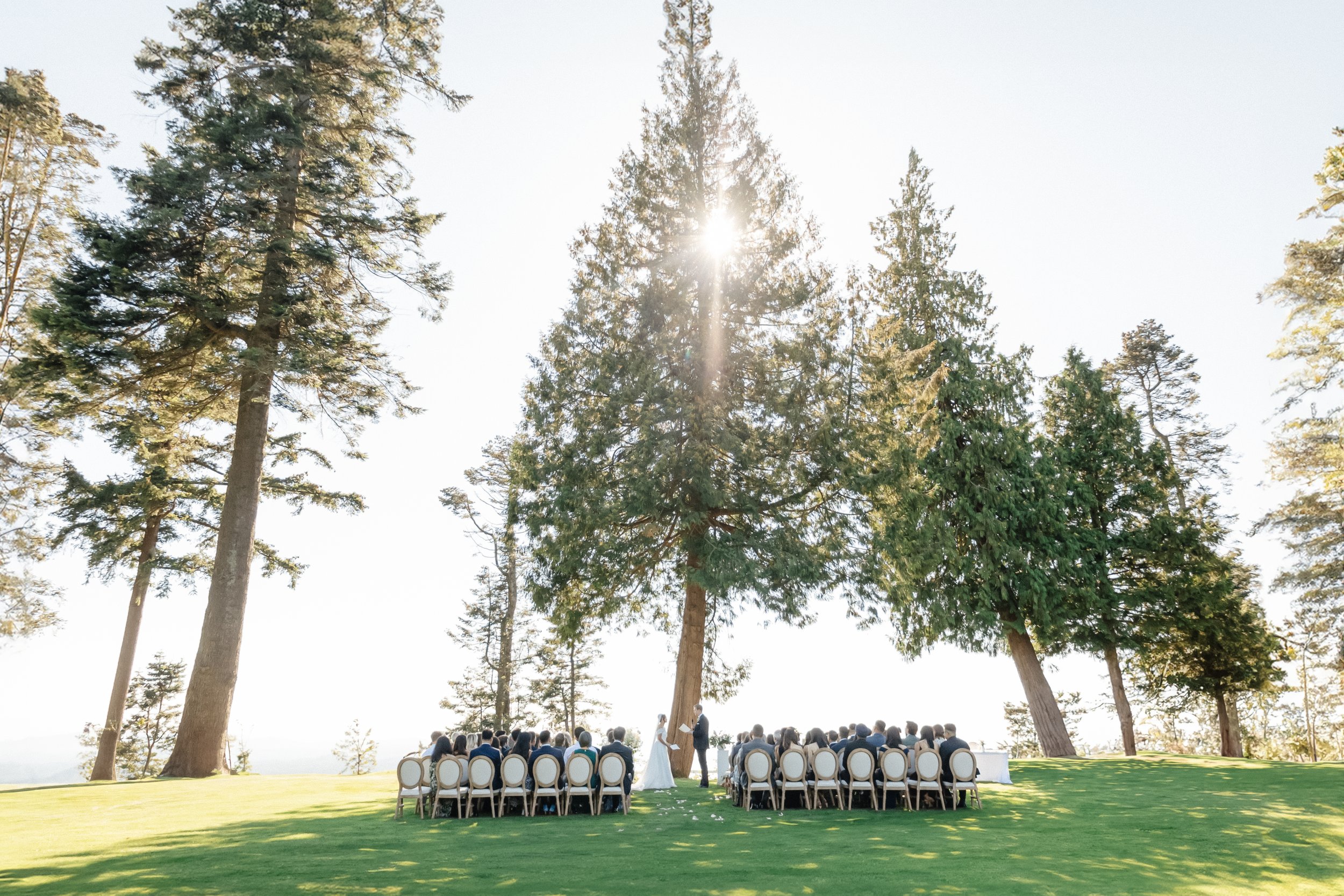 Outdoor wedding ceremony with a bride and groom exchanging vows under a large tree, surrounded by seated guests on a well-manicured lawn.