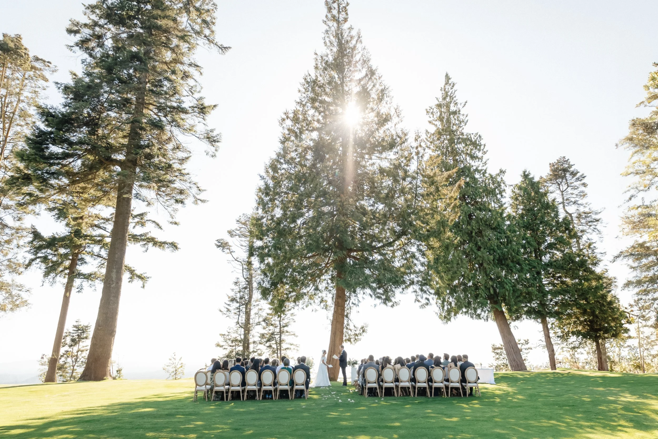 Outdoor wedding ceremony with a bride and groom exchanging vows under trees, surrounded by seated guests on green grass.