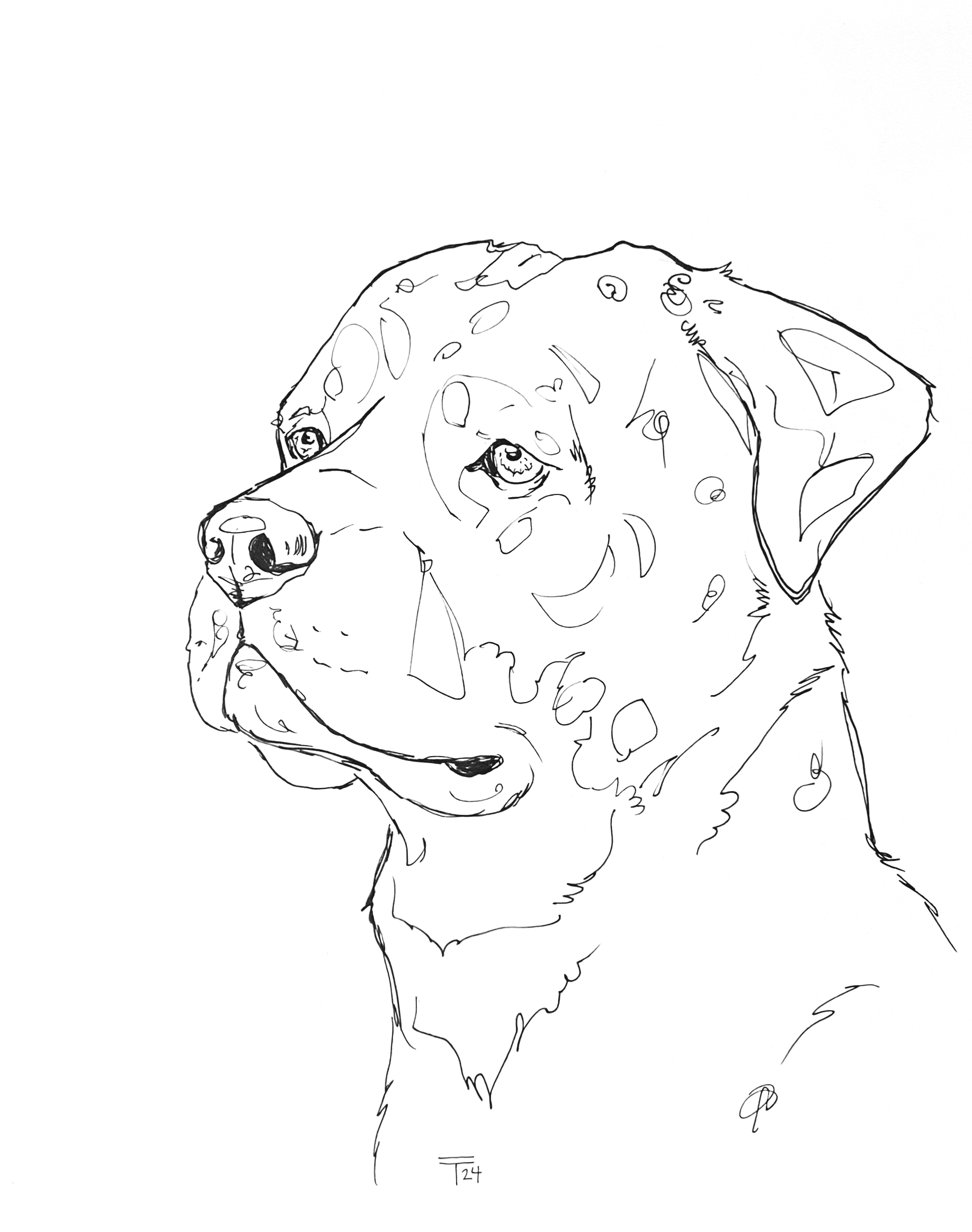 IMG_6116.png