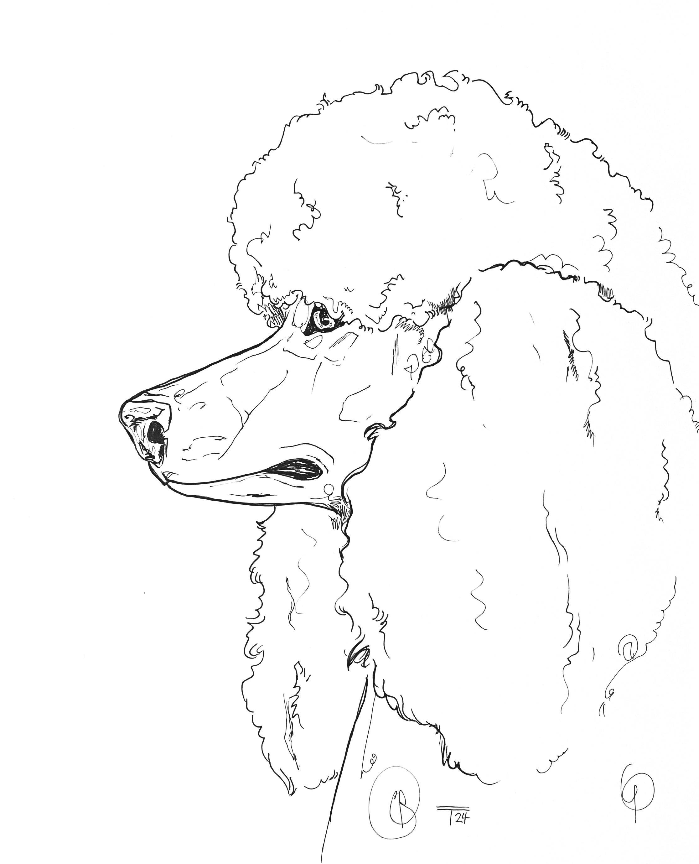 IMG_6111.png