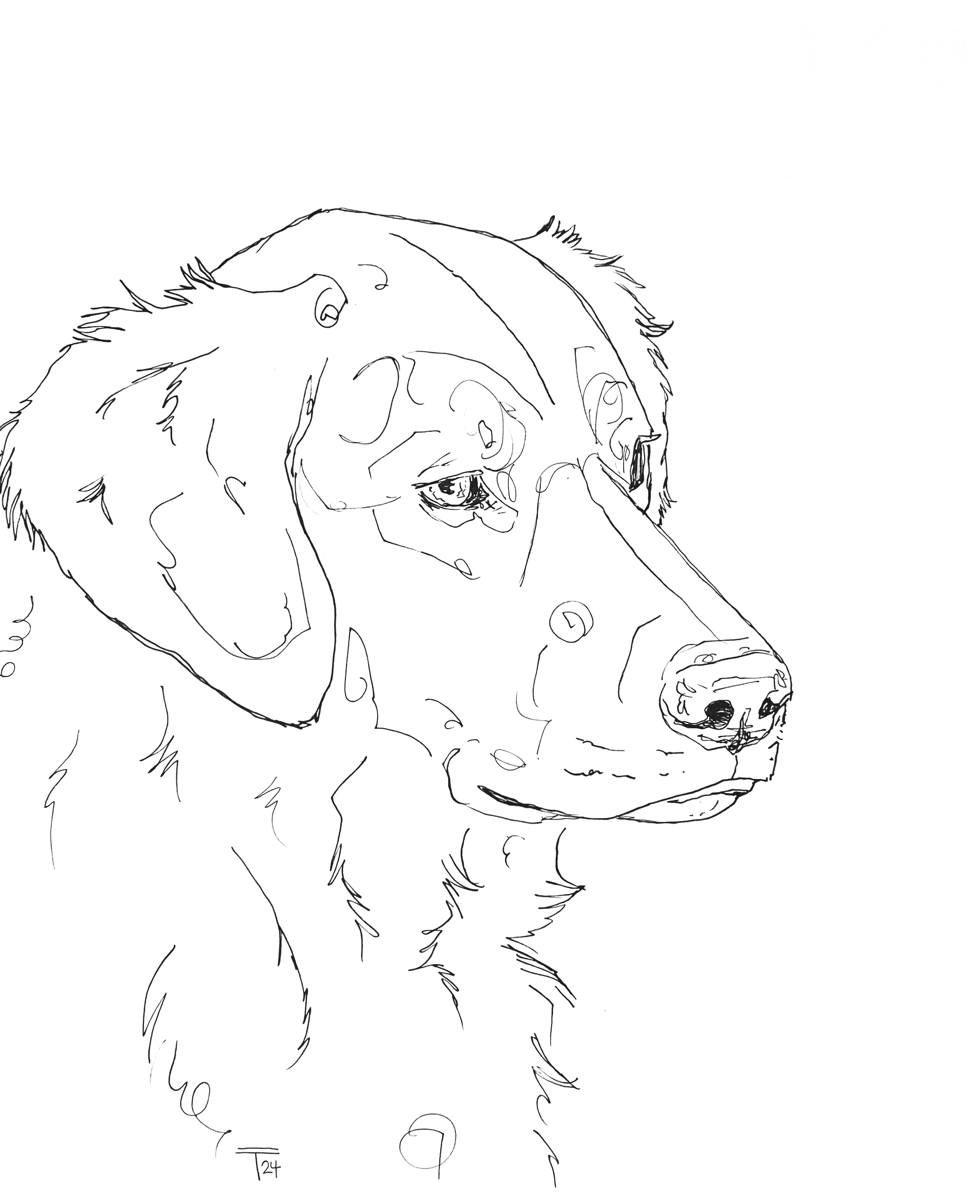 IMG_6114.png