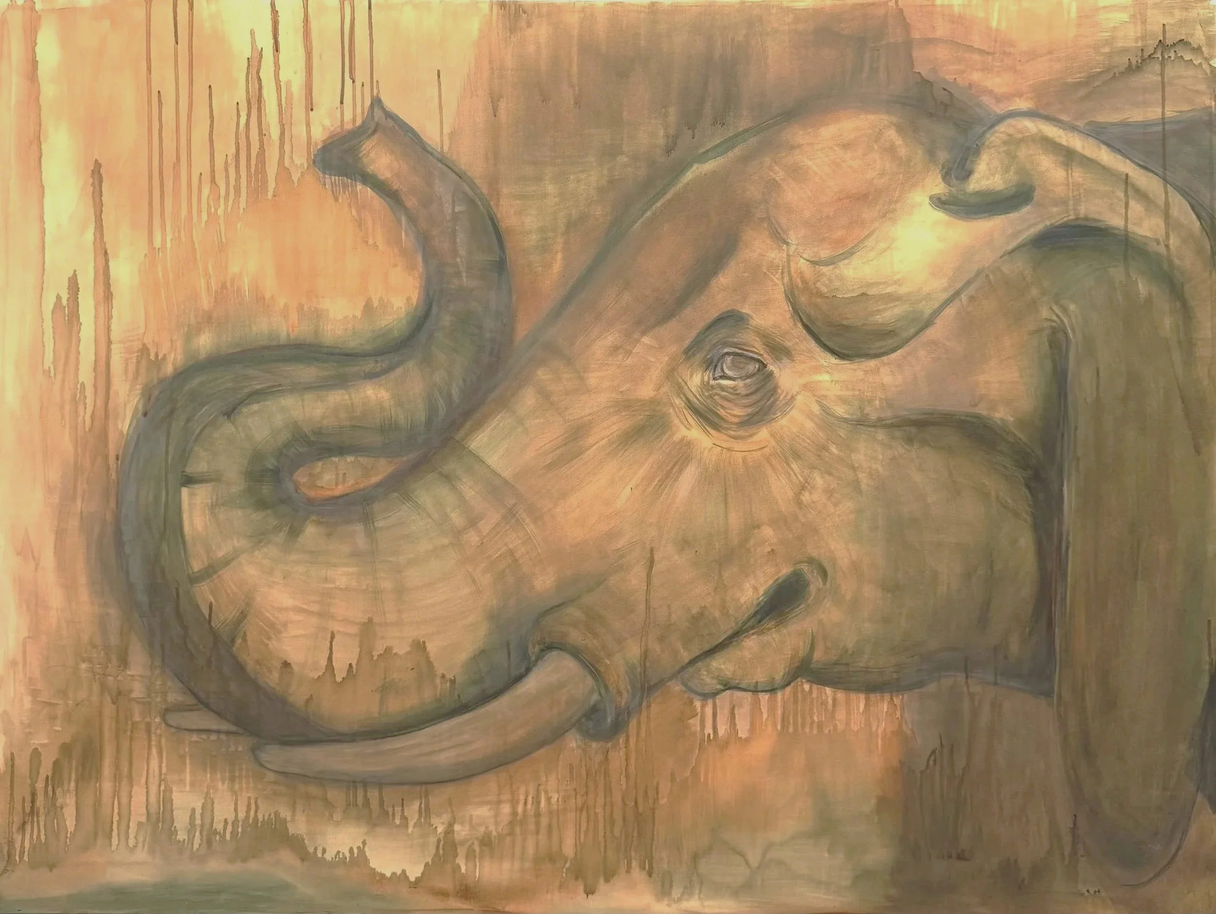 African Savannah Elephant