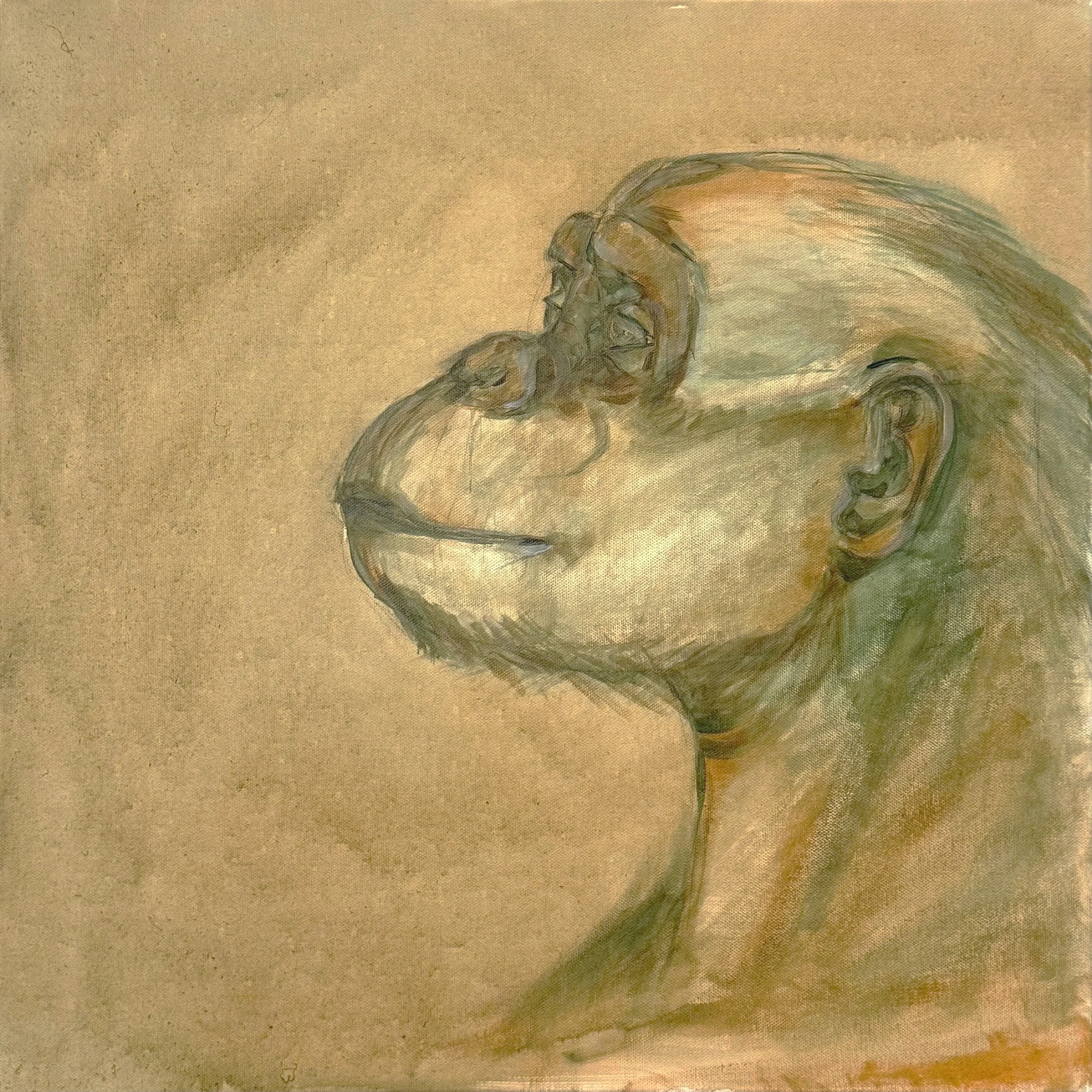 Bonobo