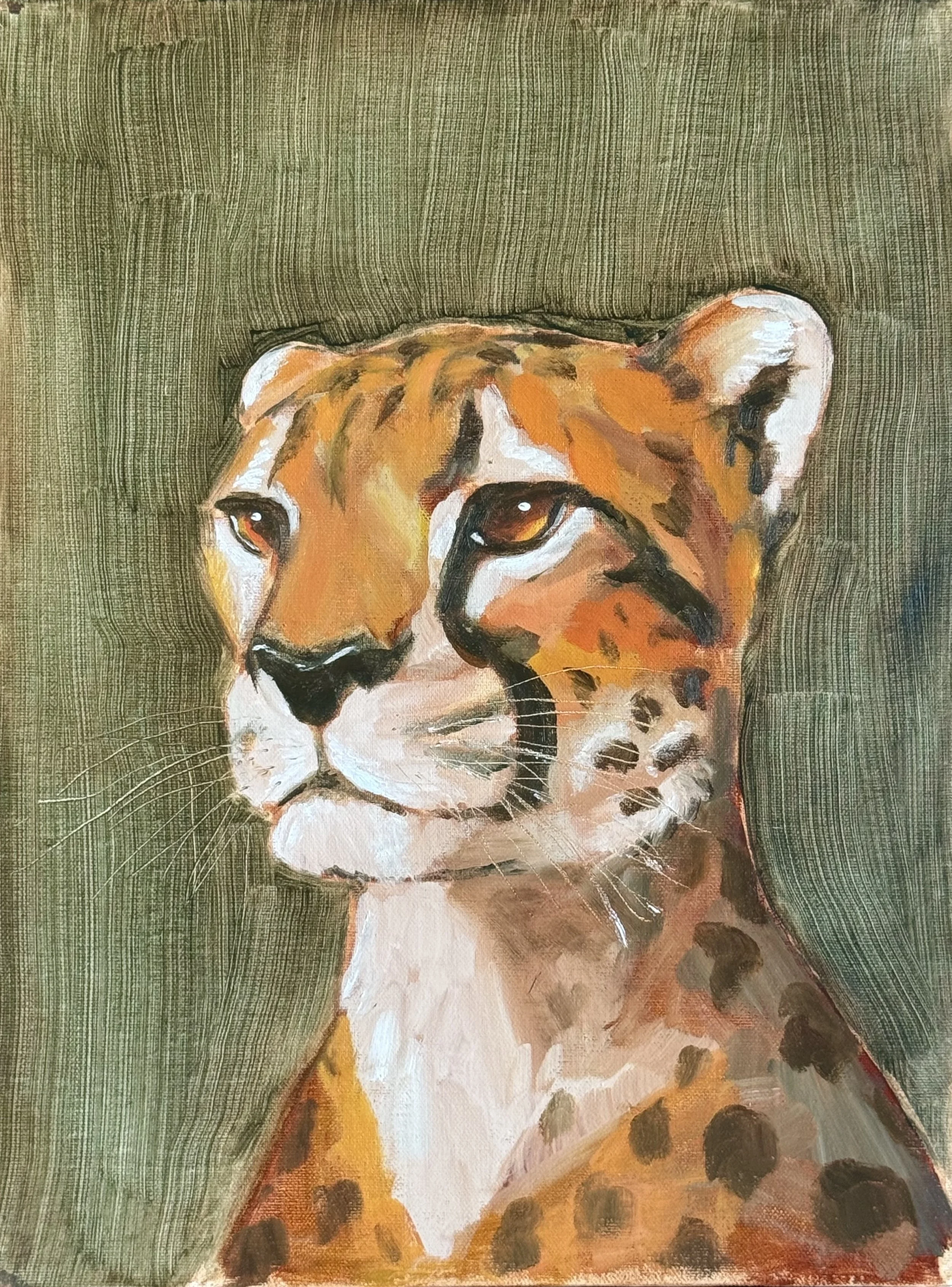 Cheetah_Oil_2025.jpg