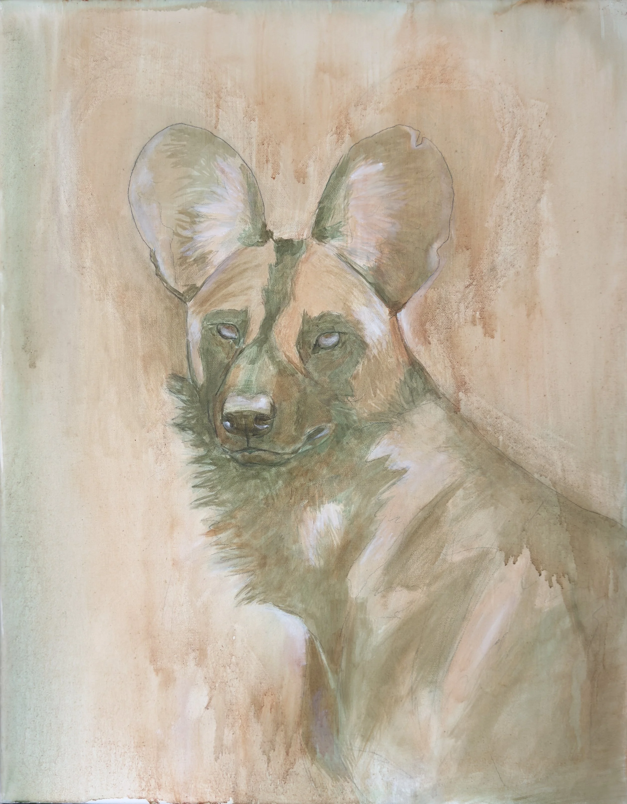 African Wild Dog