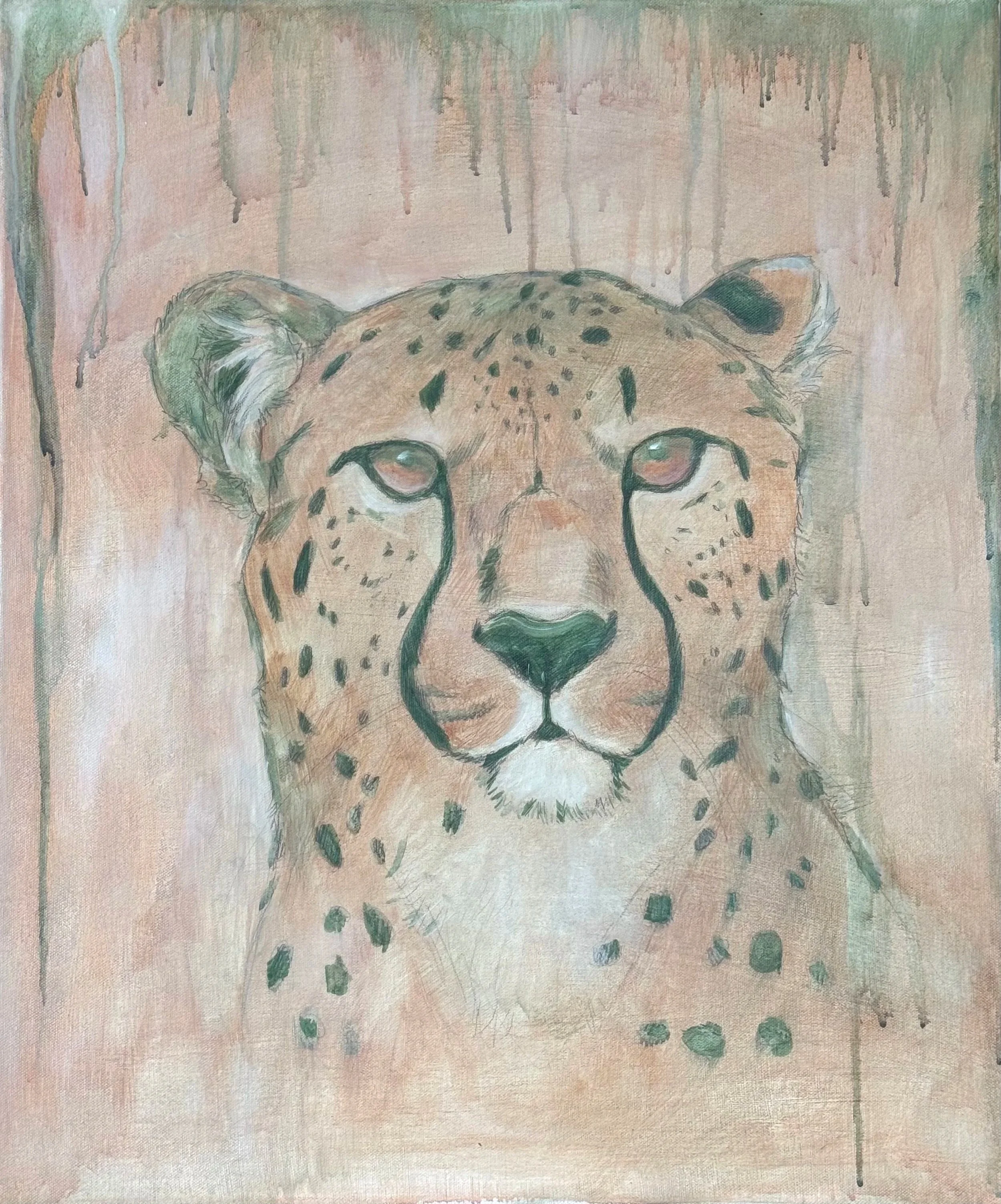 Cheetah
