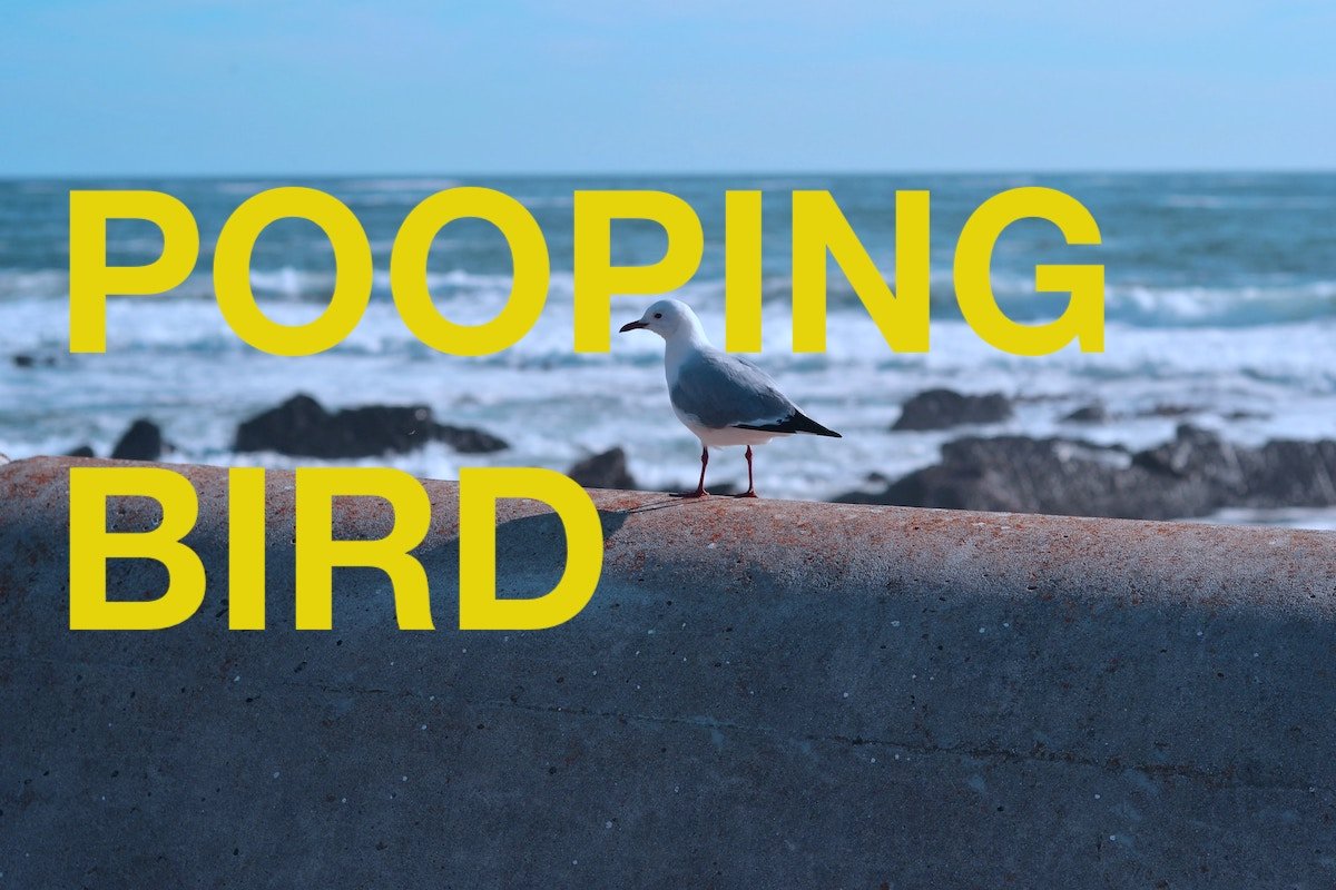 Poem: Pooping Bird (Or Karmic Payback for Playing Surfing Bird for Twenty Minutes on the Eat-a-Burger Jukebox)