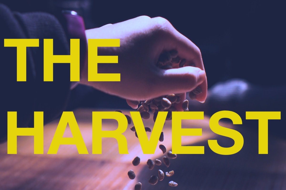 Poem: The Harvest