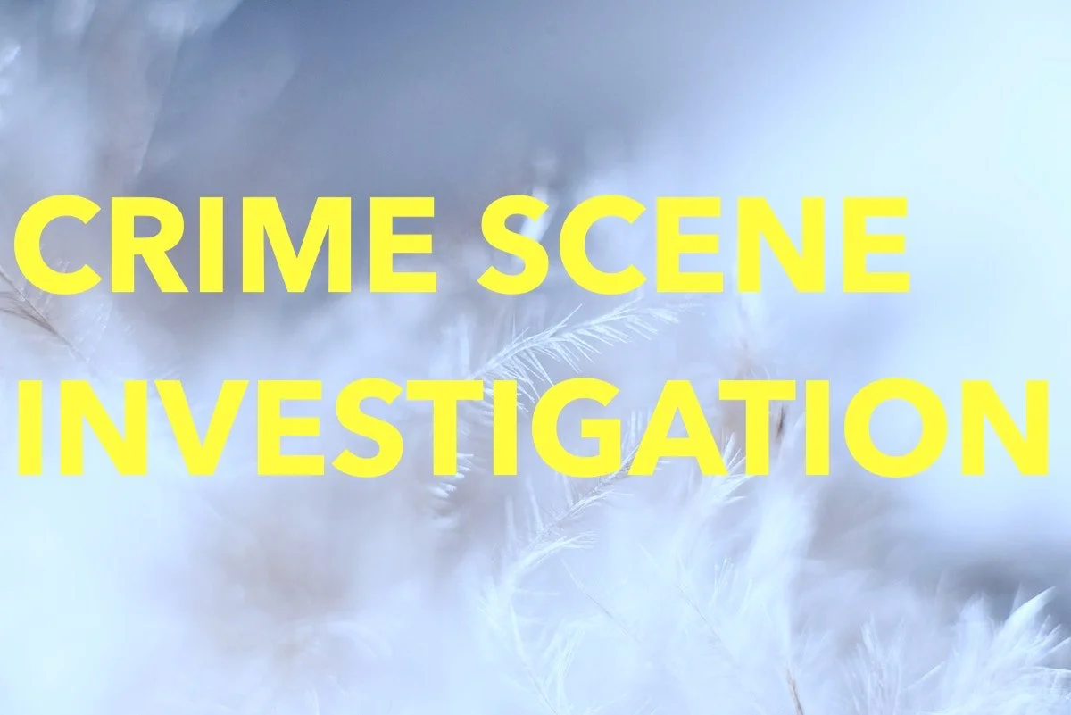 Poem: Crime Scene Investigation