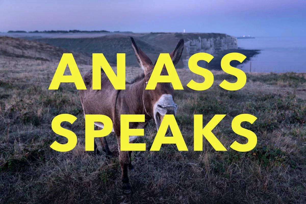 Poem: An Ass Speaks