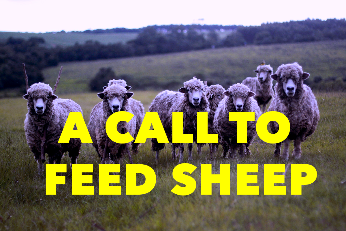 Poem: A Call to Feed Sheep